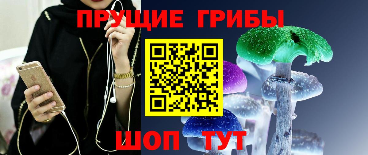 Псилоцибиновые грибы ЛСД Малгобек